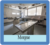 Morgue